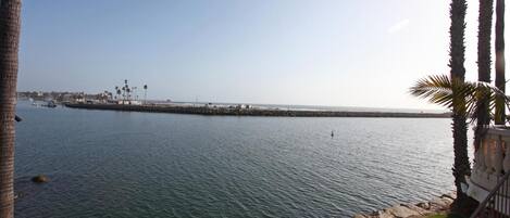 A coastal view with a calm sea, a rocky shoreline, and palm trees.
