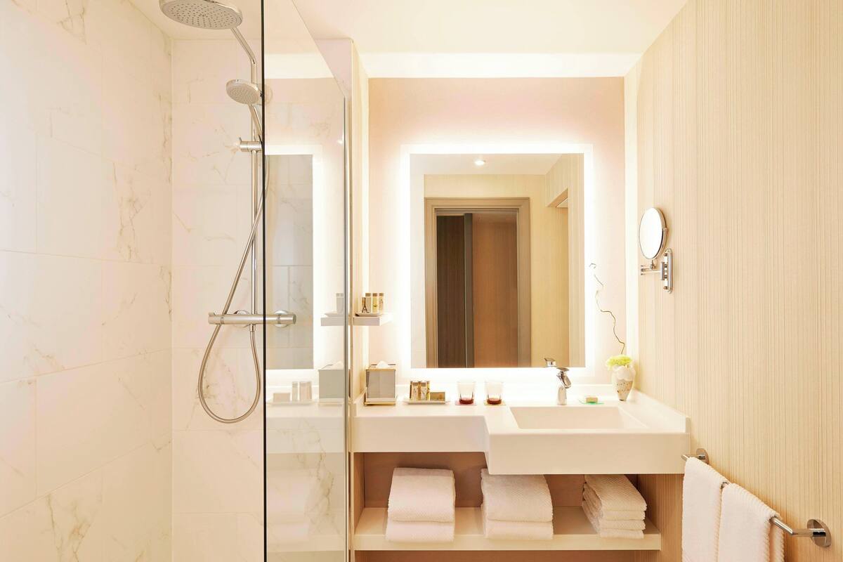 combined shower/bathtub, free toiletries, hair dryer, towels