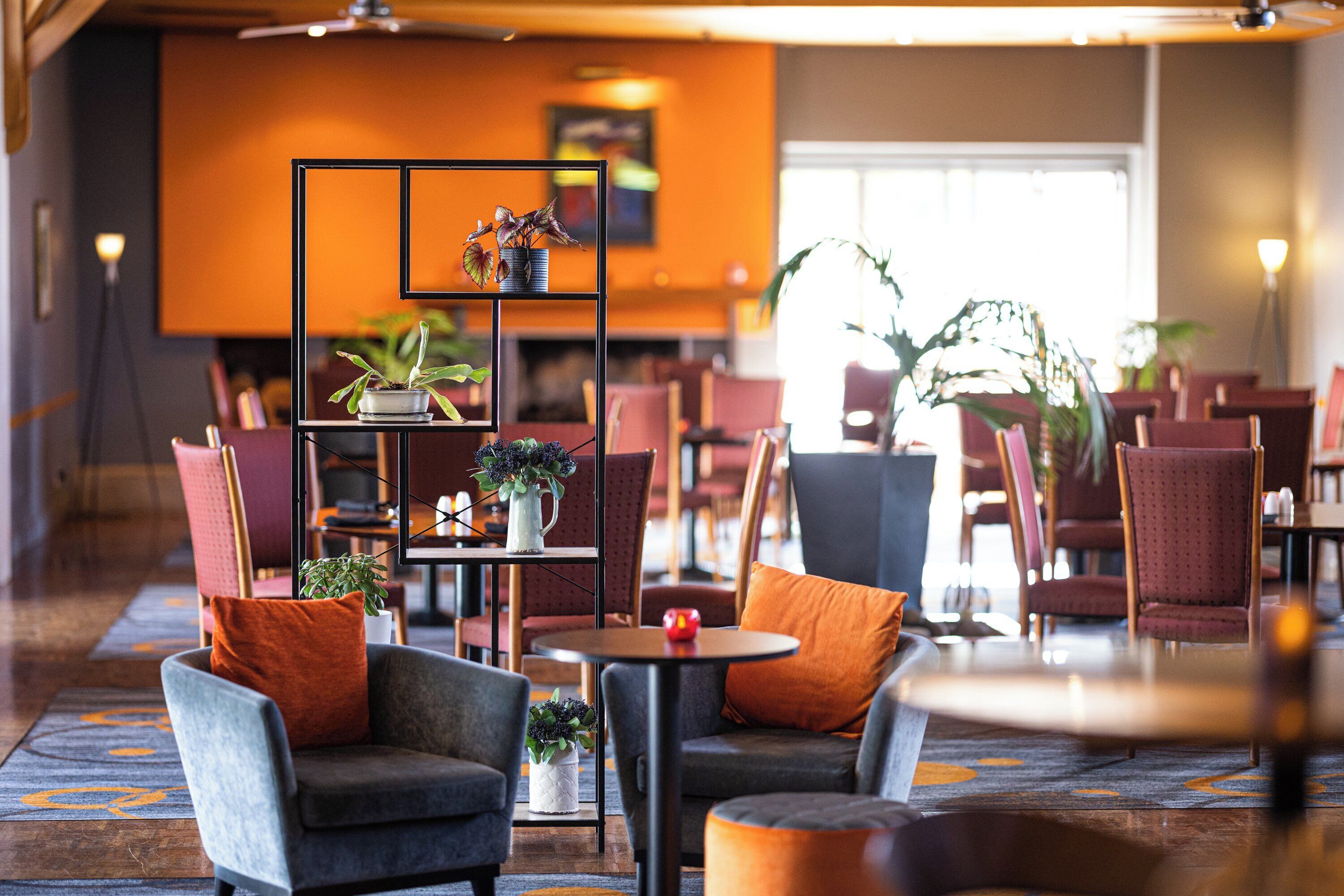 A modern hotel lobby with seating areas, a central plant display, and a large window providing natural light.