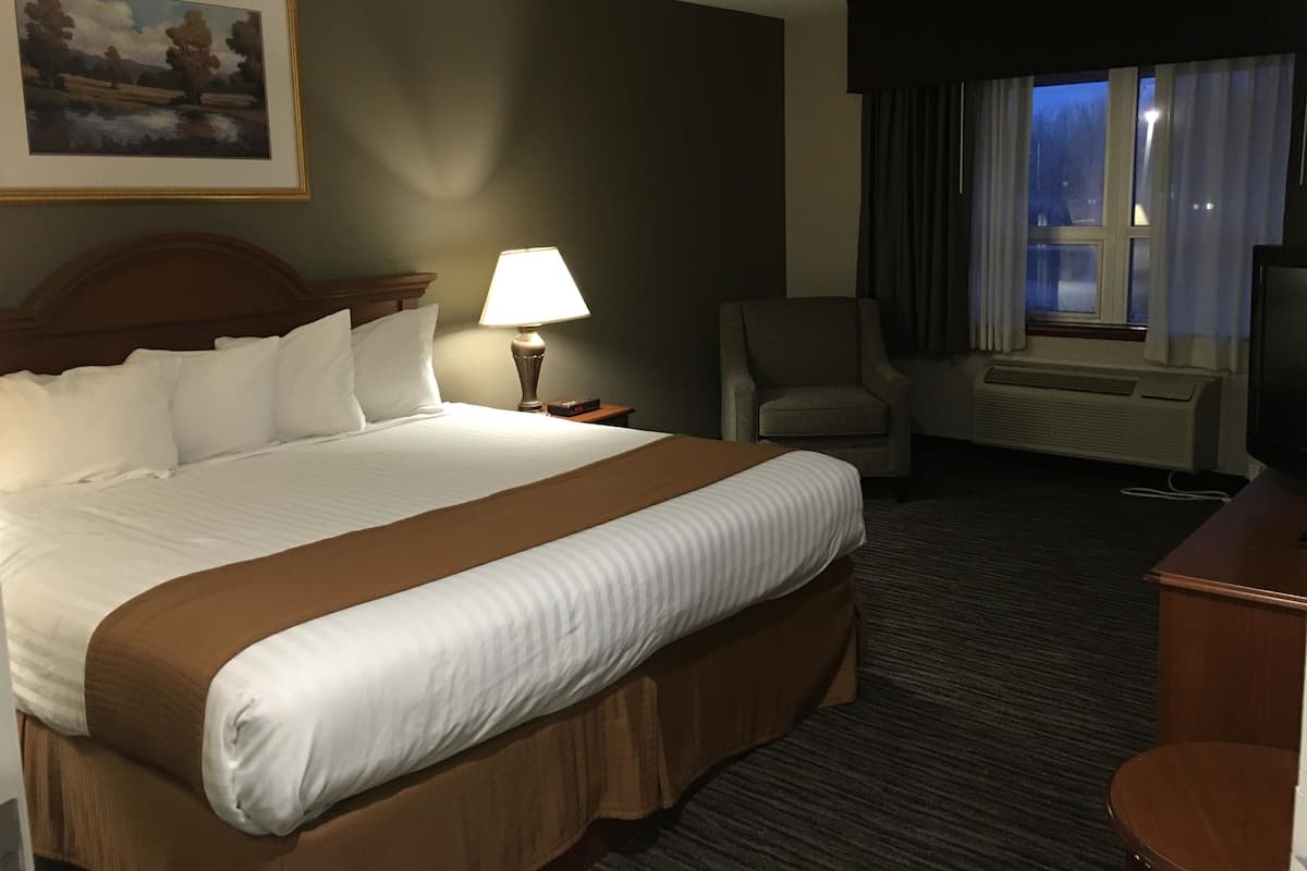 Suite, 1 King Bed, Non Smoking, Kitchenette (with Sofabed)