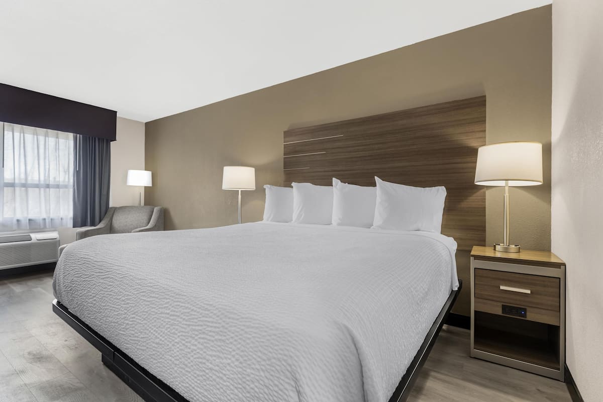 Standard Room, 1 King Bed, Non Smoking, Refrigerator & Microwave | Premium bedding, down comforters, desk, laptop workspace