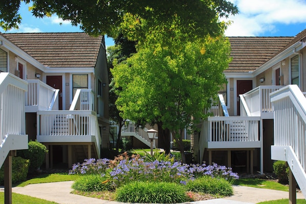 Vista desde la propiedad