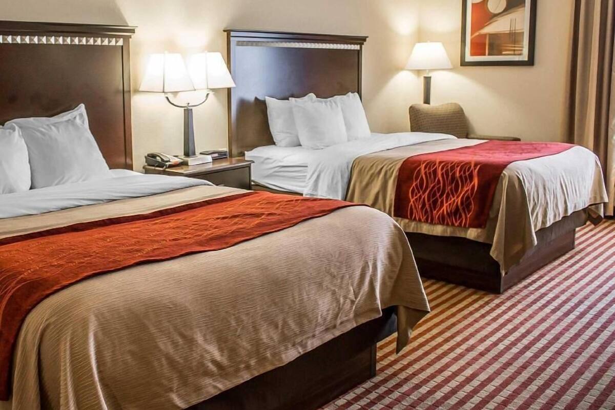 A hotel room with two beds, a nightstand with a lamp, a framed picture on the wall, and a checkered carpet.
