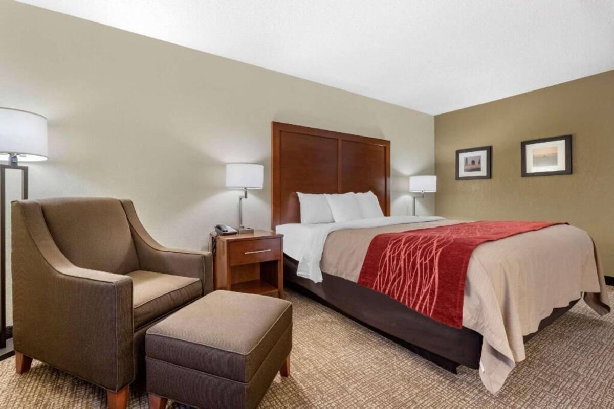 A hotel room with a bed, a chair, a nightstand, and a lamp.