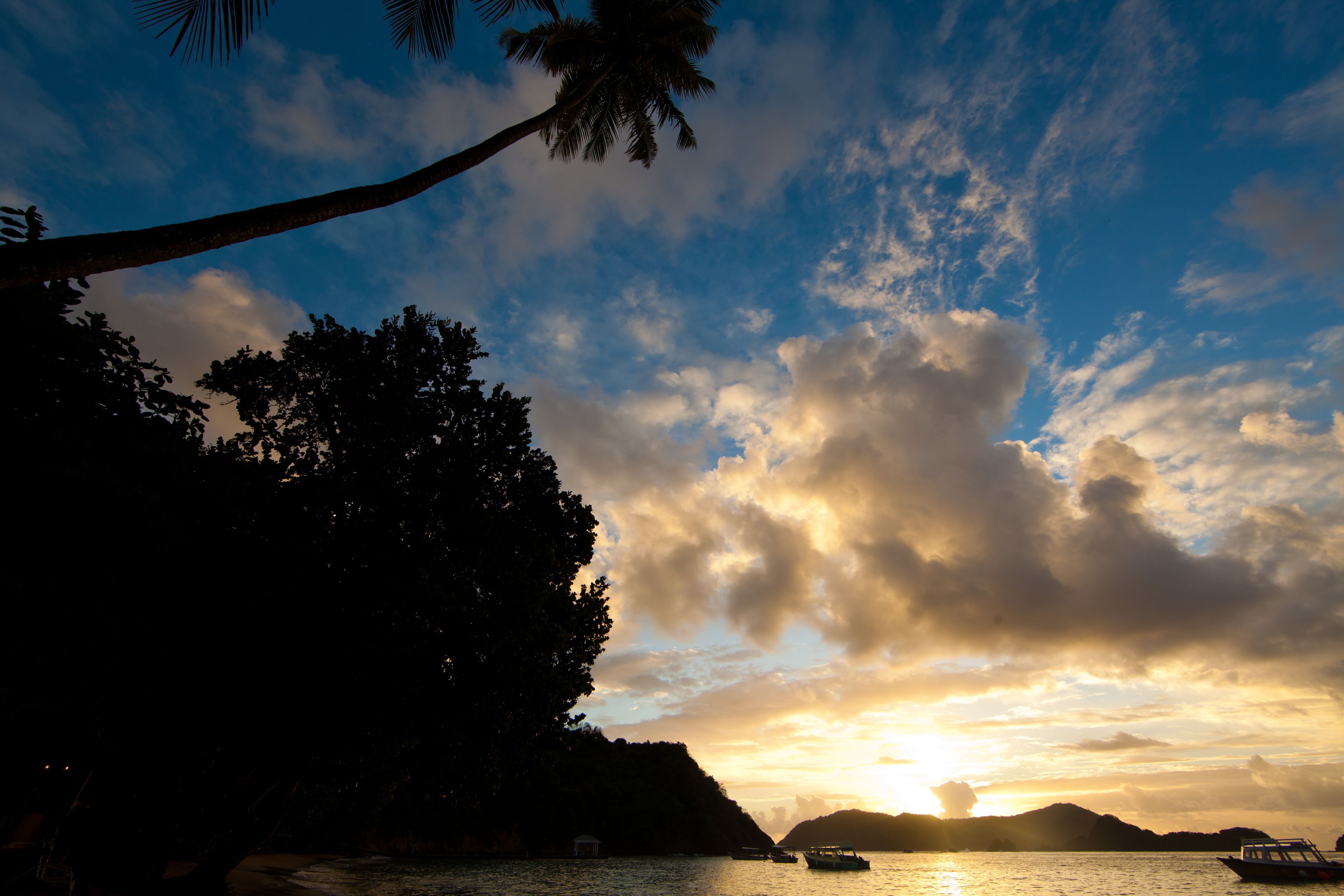 A sunset over a body of water with boats, a small building, and a palm tree.