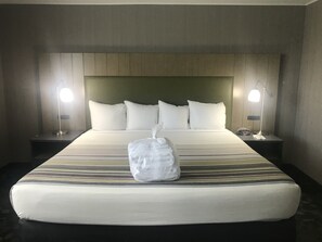 Desk, blackout drapes, iron/ironing board, travel crib - Country Inn & Suites by Radisson, Delta Park North Portland (Portland)