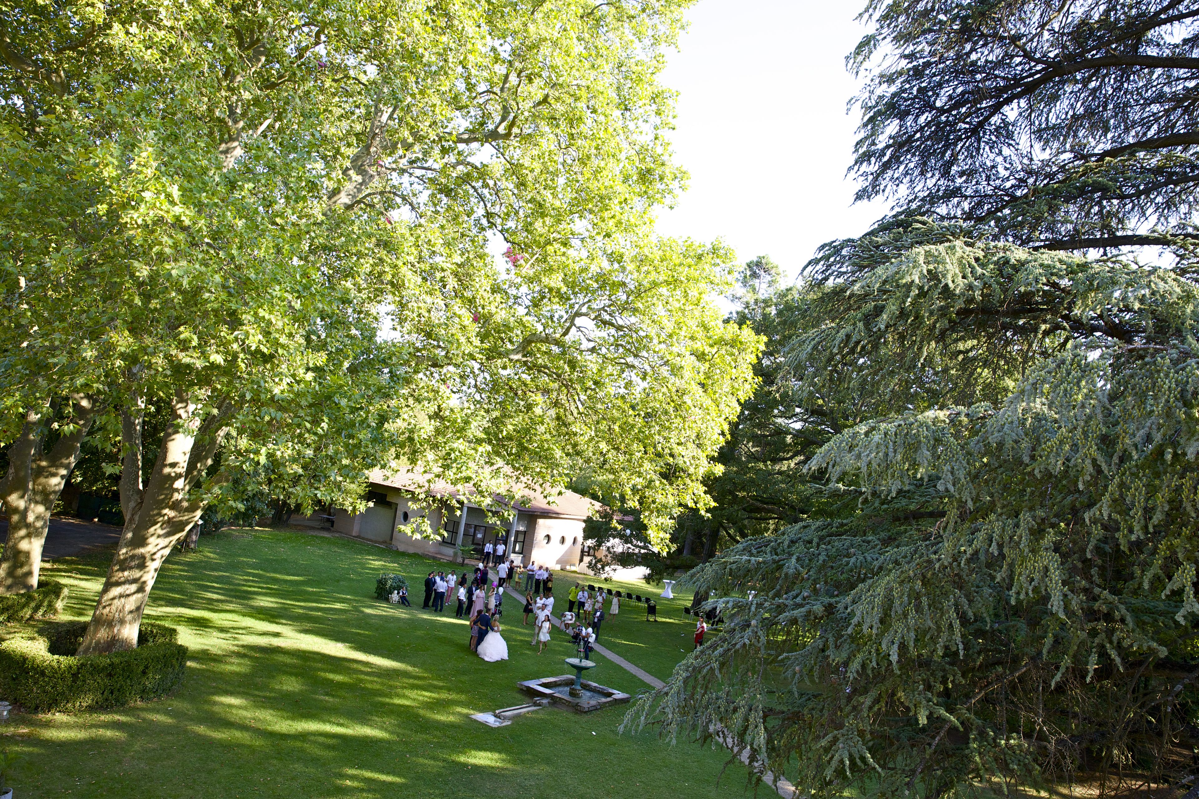outdoor wedding area