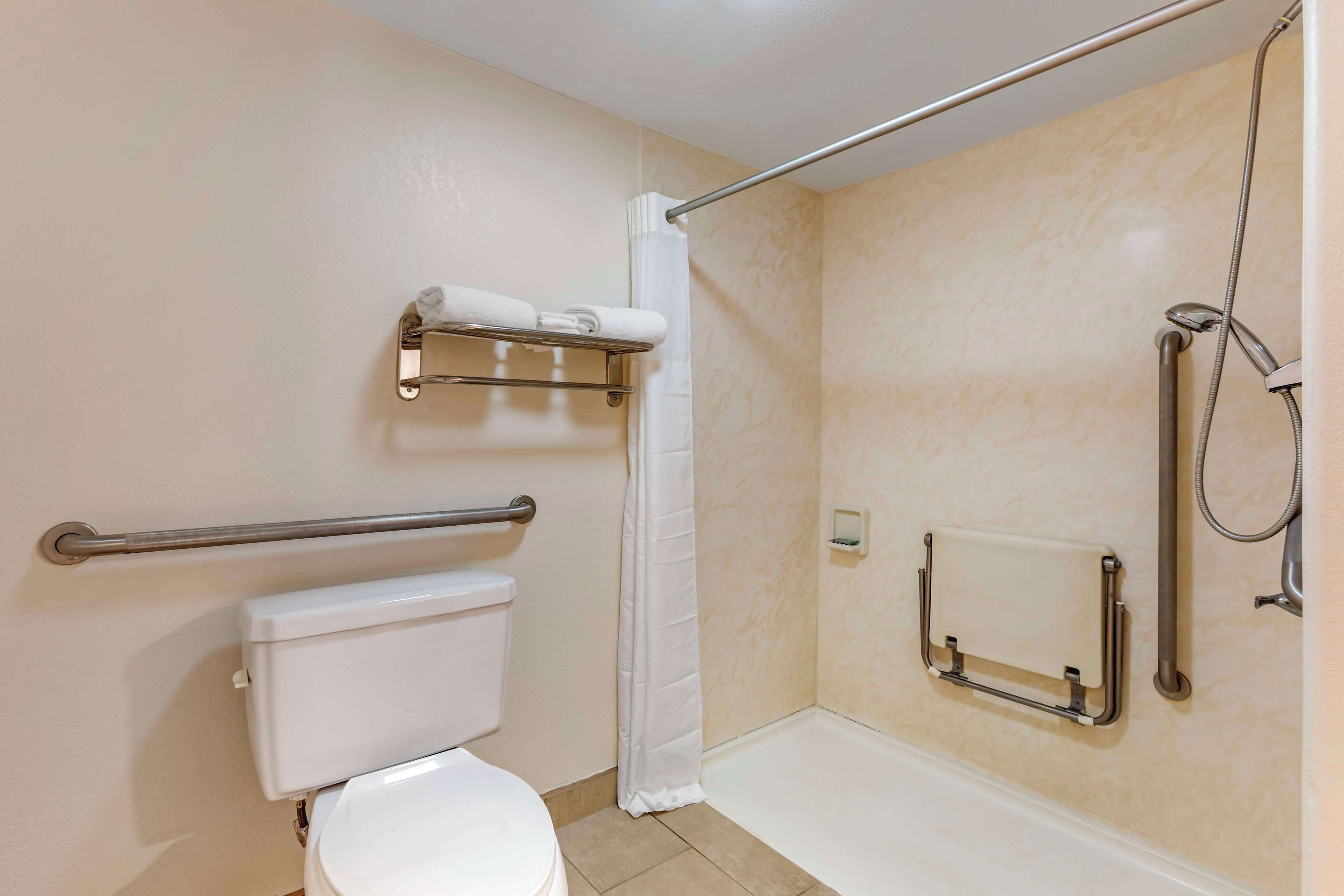 standard room, 1 queen bed, accessible, non smoking | bathroom | free toiletries, hair dryer, towels, soap