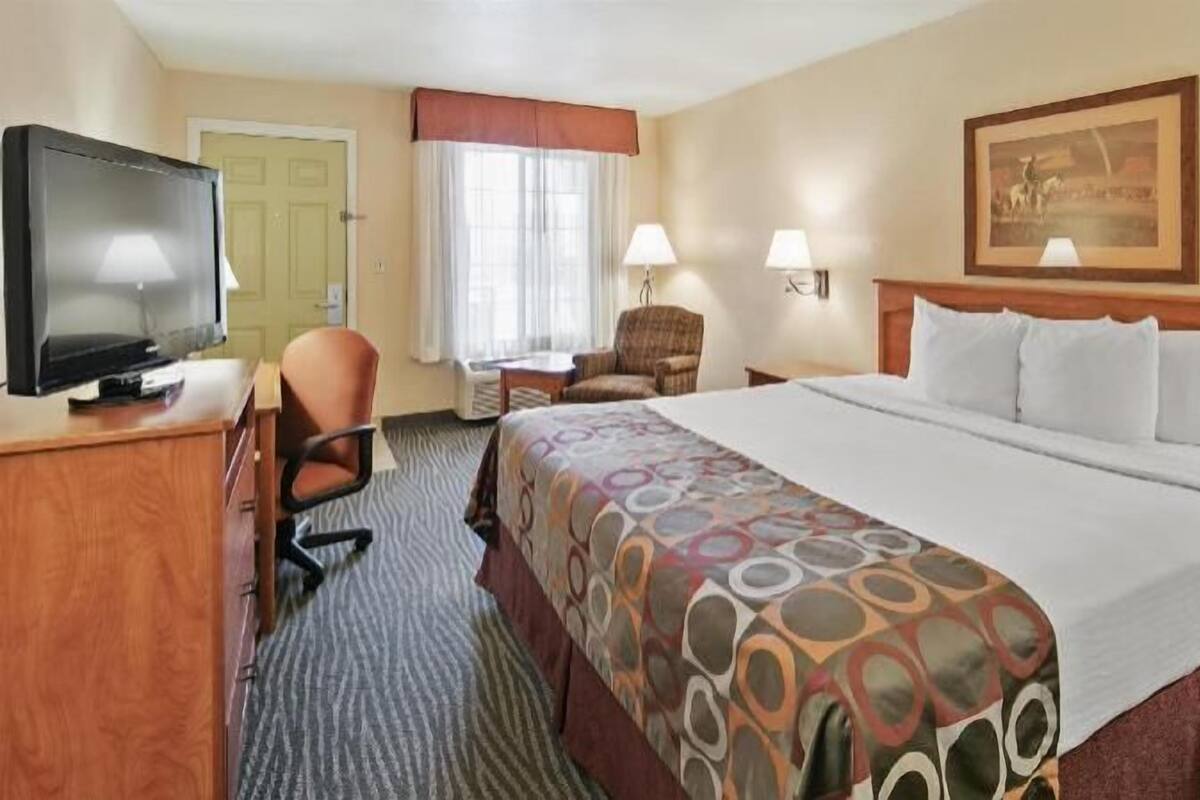 A hotel room with a bed, a desk with a television, a chair, a desk lamp, and a painting on the wall.