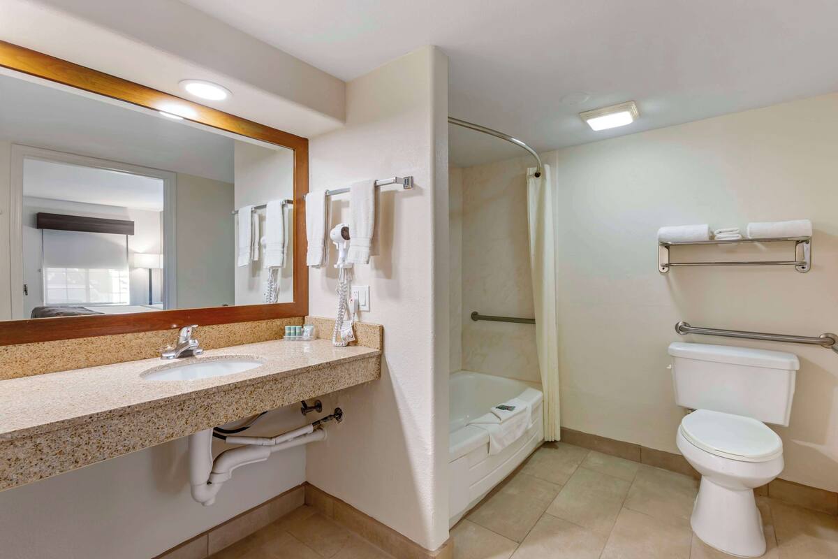 standard room, 1 queen bed, accessible, bathtub | bathroom | free toiletries, hair dryer, towels, soap