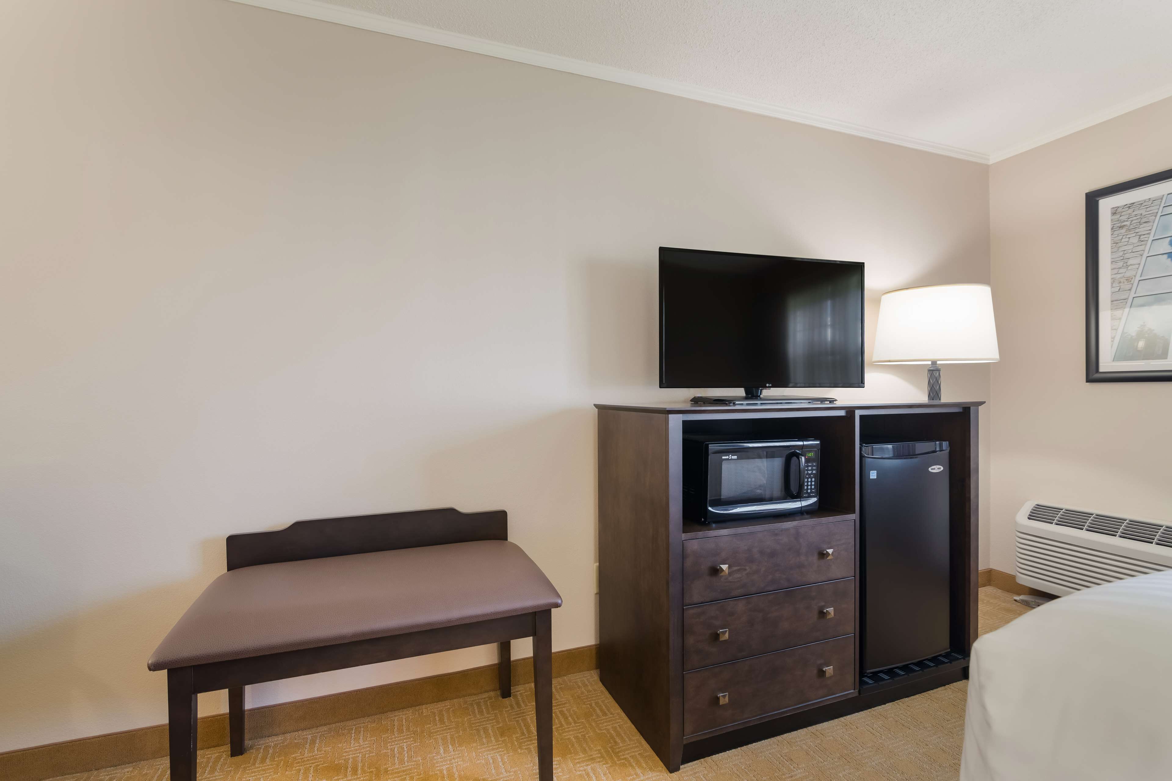 A hotel room with a bed, a desk, a television, a microwave, a refrigerator, a lamp, and a framed picture on the wall.