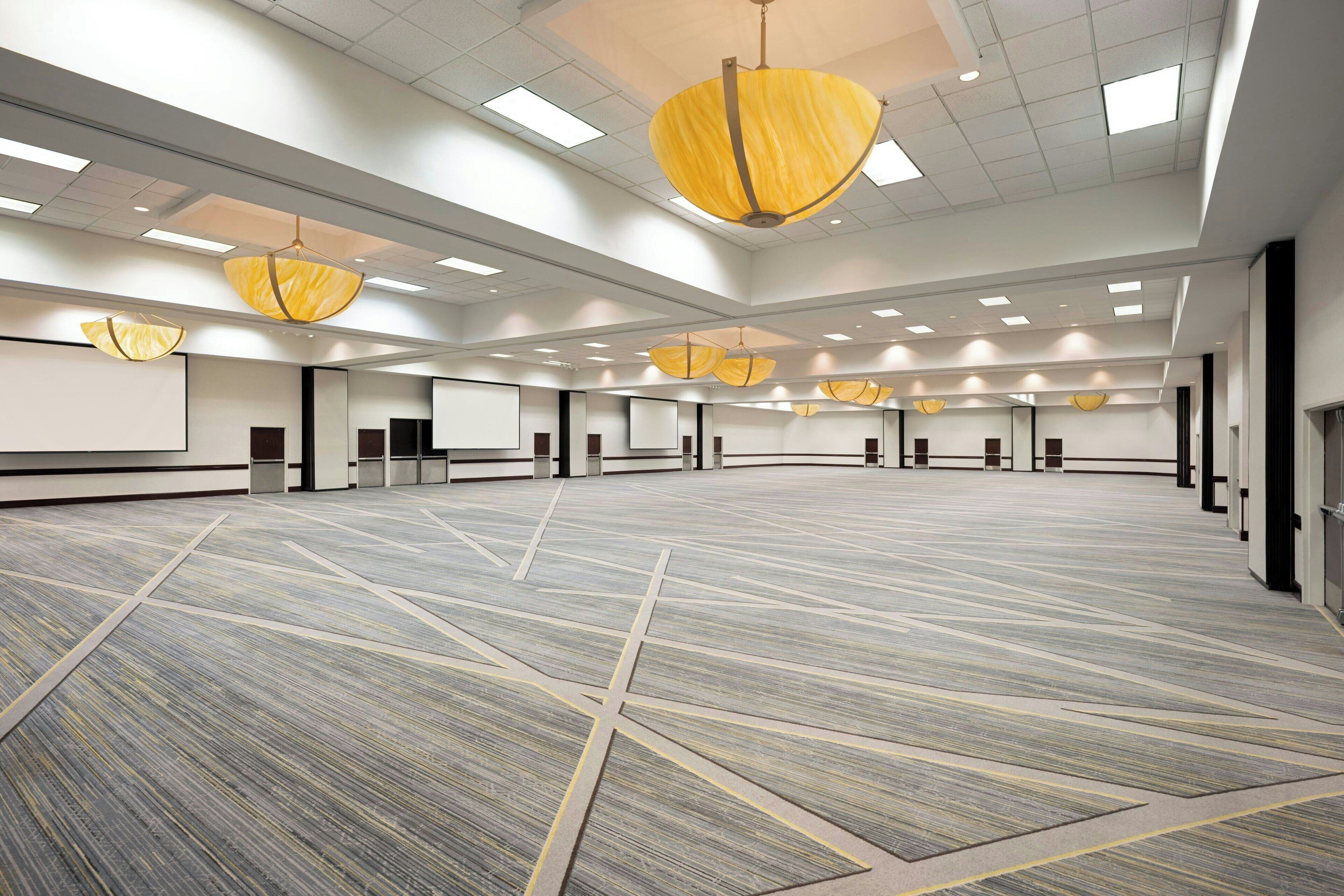 Une grande salle de conférence vide, dotée d’un tapis à motifs, de plusieurs rangées de chaises et de lampes suspendues.
