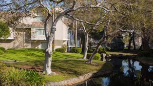 Una zona residencial con un estanque, árboles y casas.