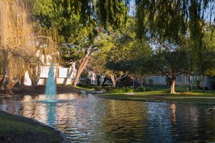 Vista desde la propiedad