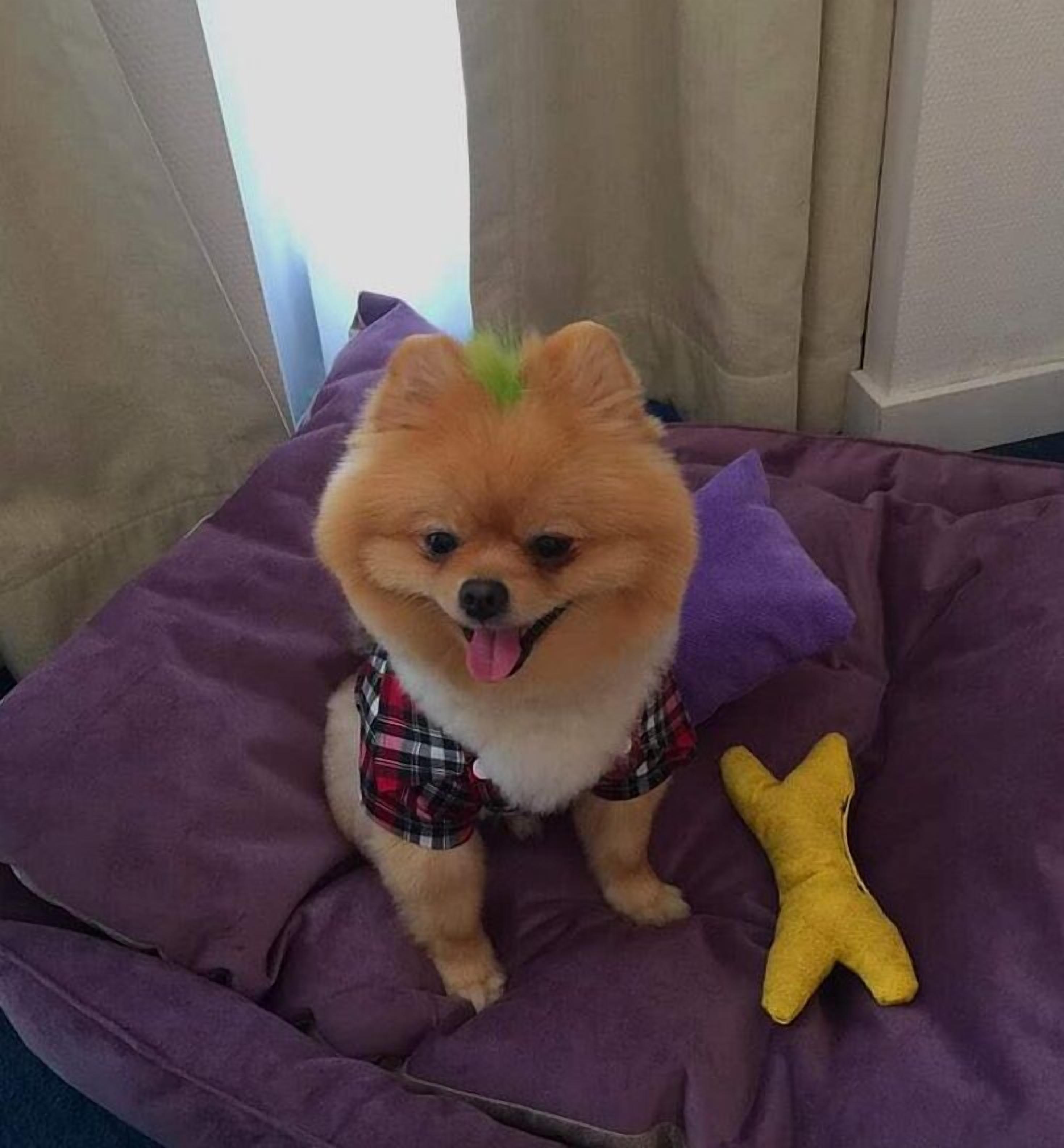 Photo - Best Western Plus Hotel Konak