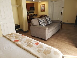 Studio Suite, 1 Queen Bed with Sofa bed, Non Smoking | Living area - Birch Hill Grand Rapids (Grand Rapids)