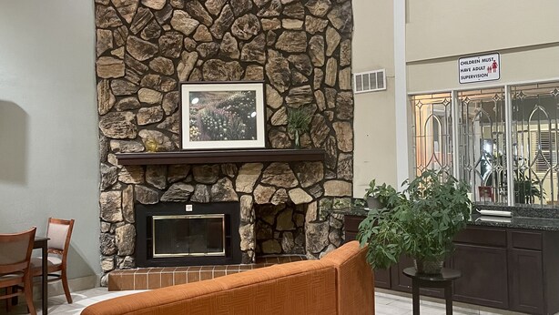 A living room with a stone wall, fireplace, orange sofa, and a ceiling fan. - Birch Hill Grand Rapids (Grand Rapids)