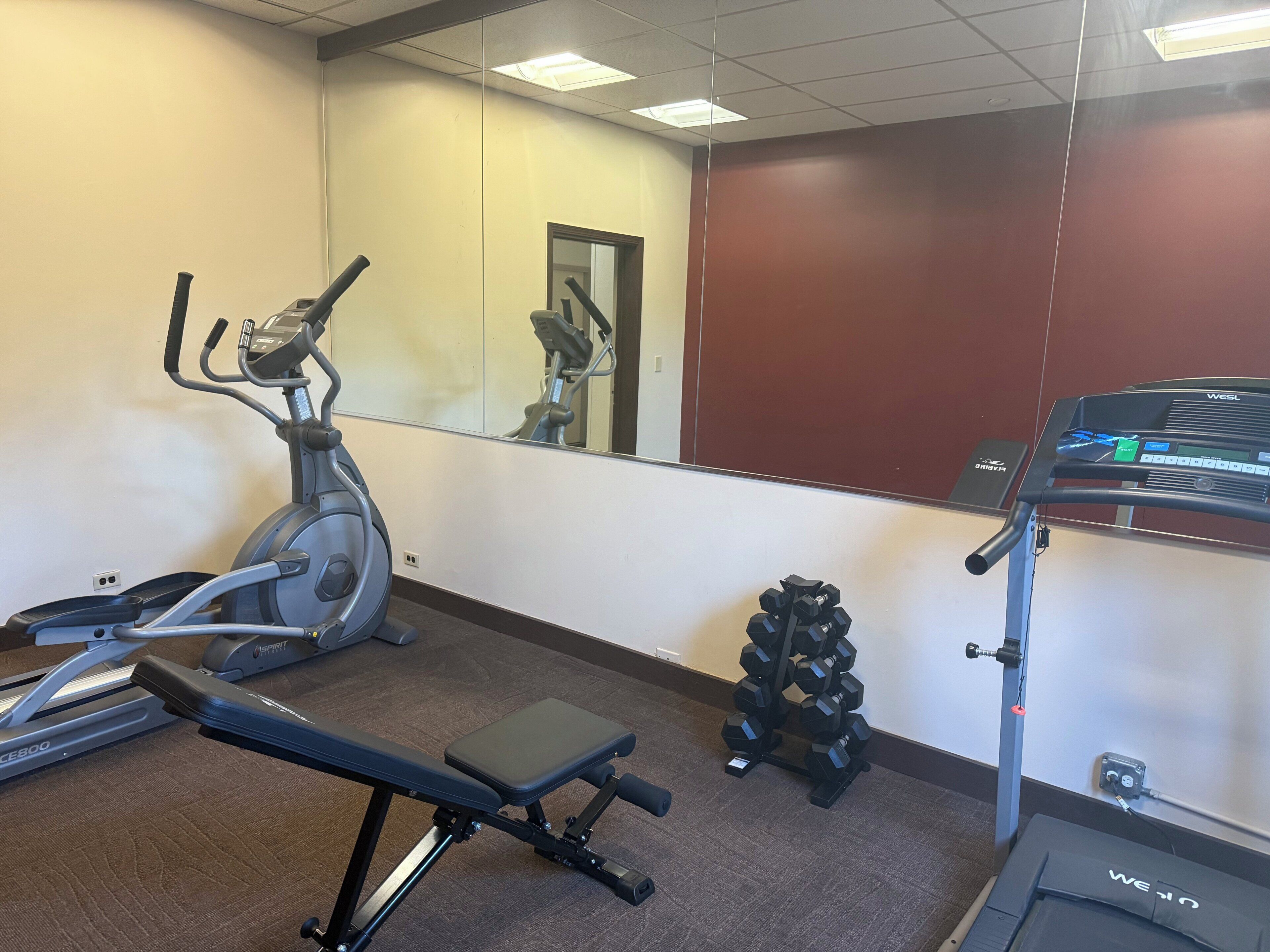 A gym with cardio equipment including a treadmill, stationary bike, and elliptical. There is a bench press, a rack of dumbbells, and a mirror on the wall.