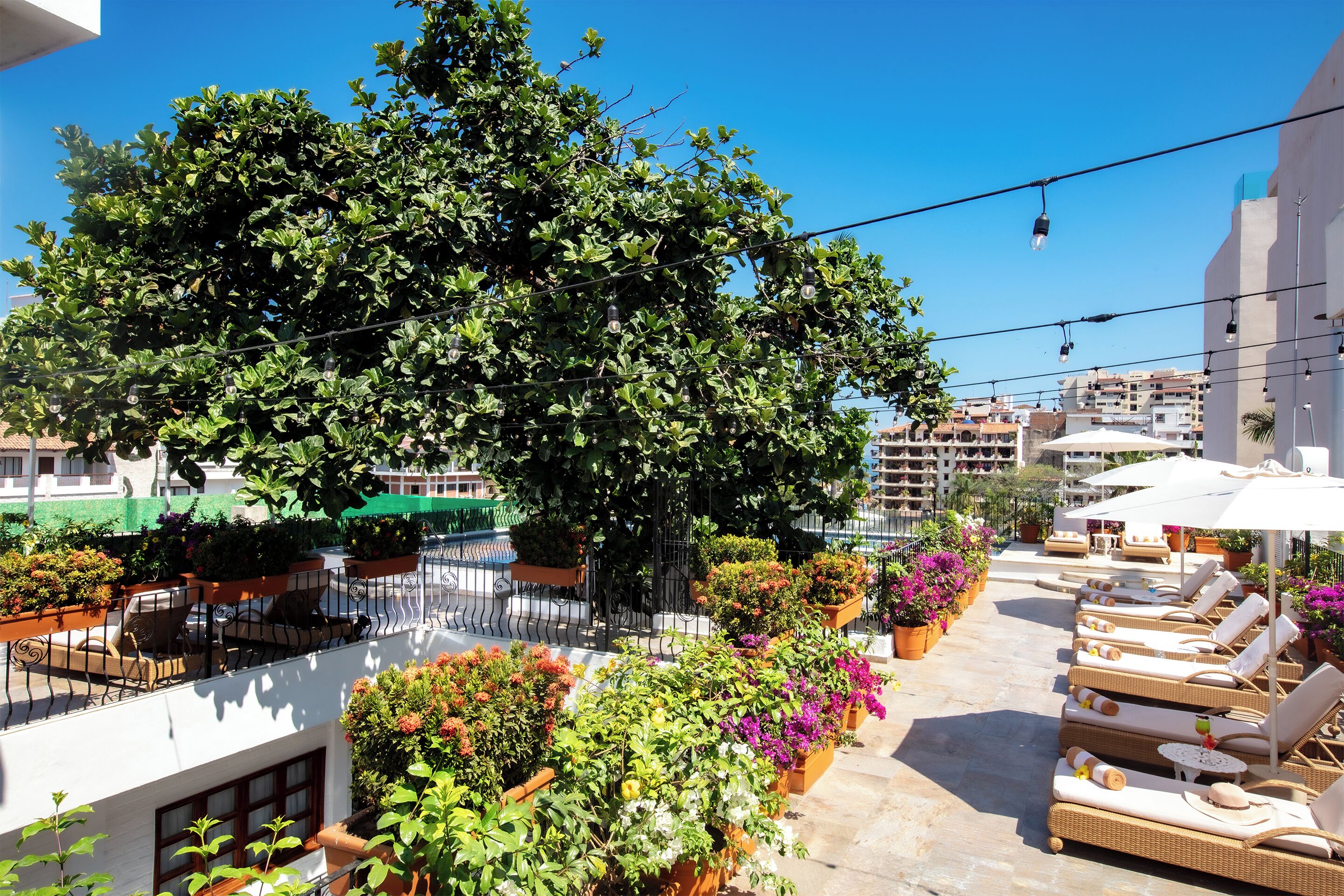 Photo - Casa Doña Susana