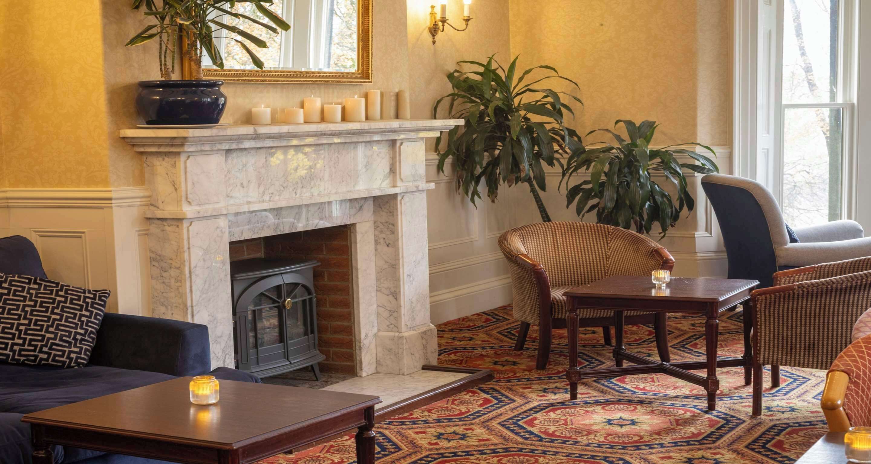 A room with a fireplace, a large plant, a patterned rug, and a seating area with a table and chairs.