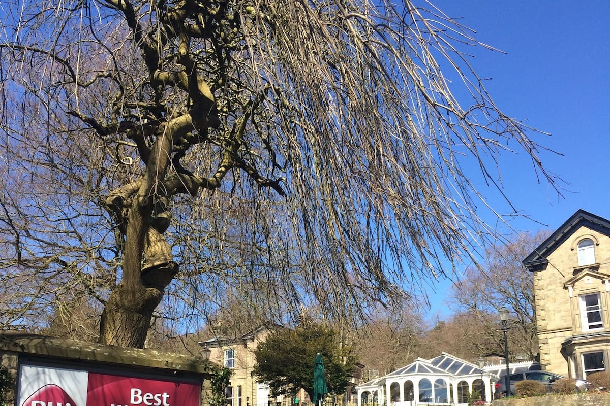 Safe på rommet, individuelt dekorert, individuelt innredet og skrivebord