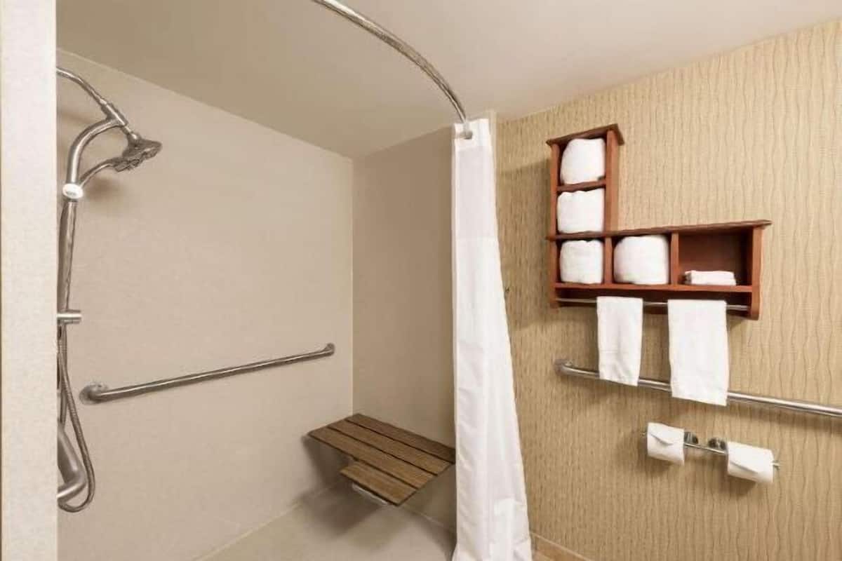 Baño | Tina con regadera, amenidades de baño gratuitas, secadora de cabello