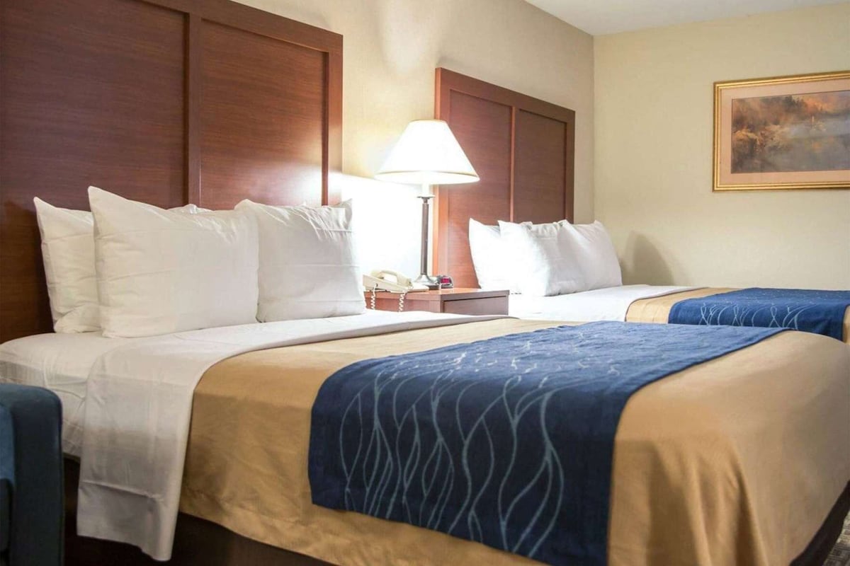 A hotel room with two beds, a nightstand, a lamp, and a painting on the wall.