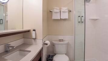 A modern bathroom with a glass shower enclosure, a white toilet, and a vanity with a mirror and sink.