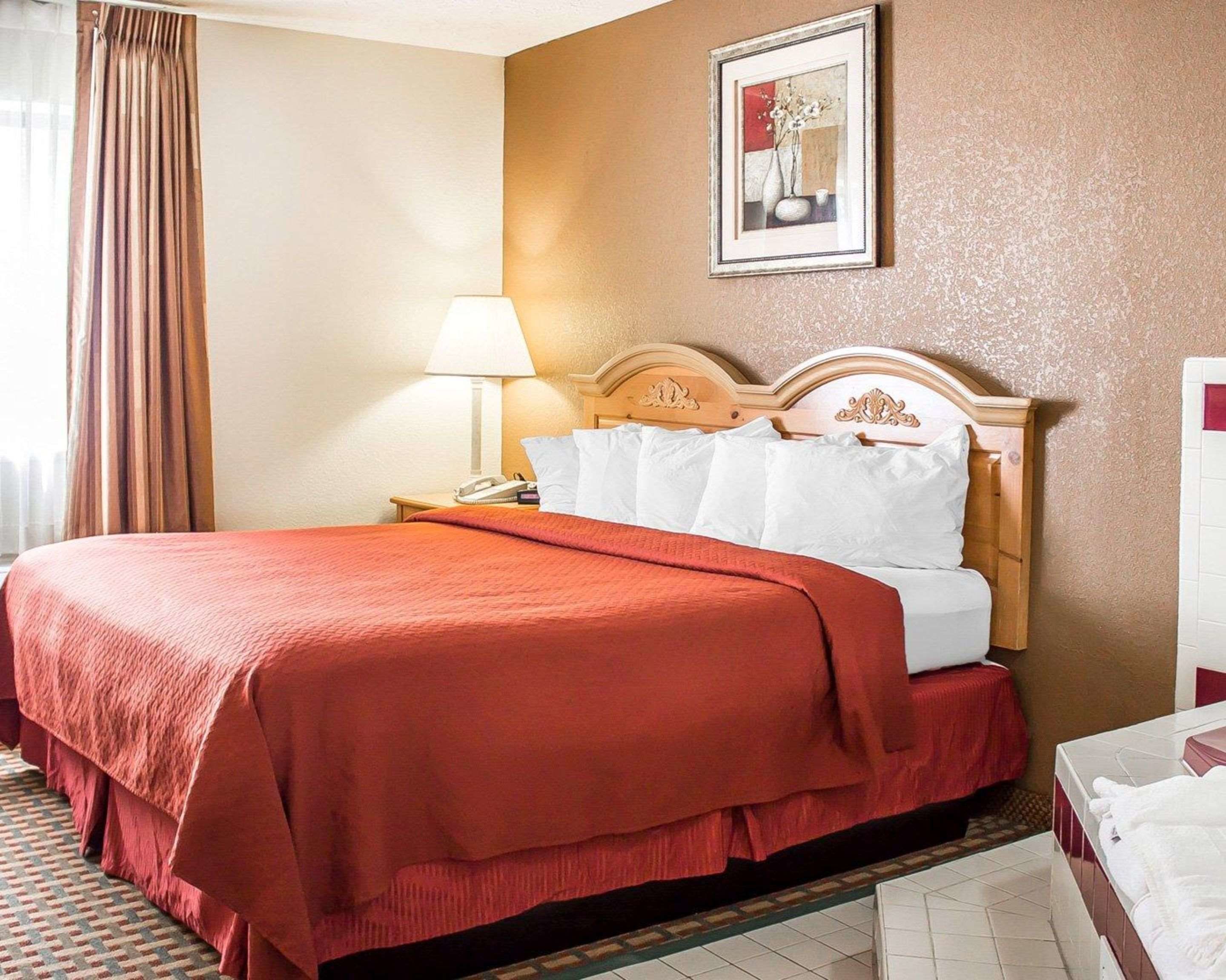 A hotel room with a large bed, a nightstand with a lamp, a framed picture on the wall, and a red carpeted floor.