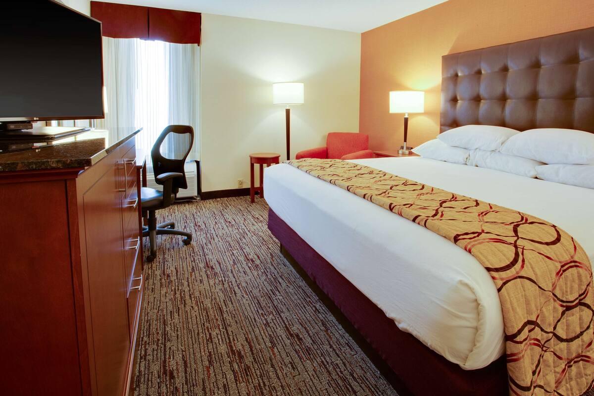 A hotel room with a bed, a desk with a television, a chair, a lamp, and a carpeted floor.