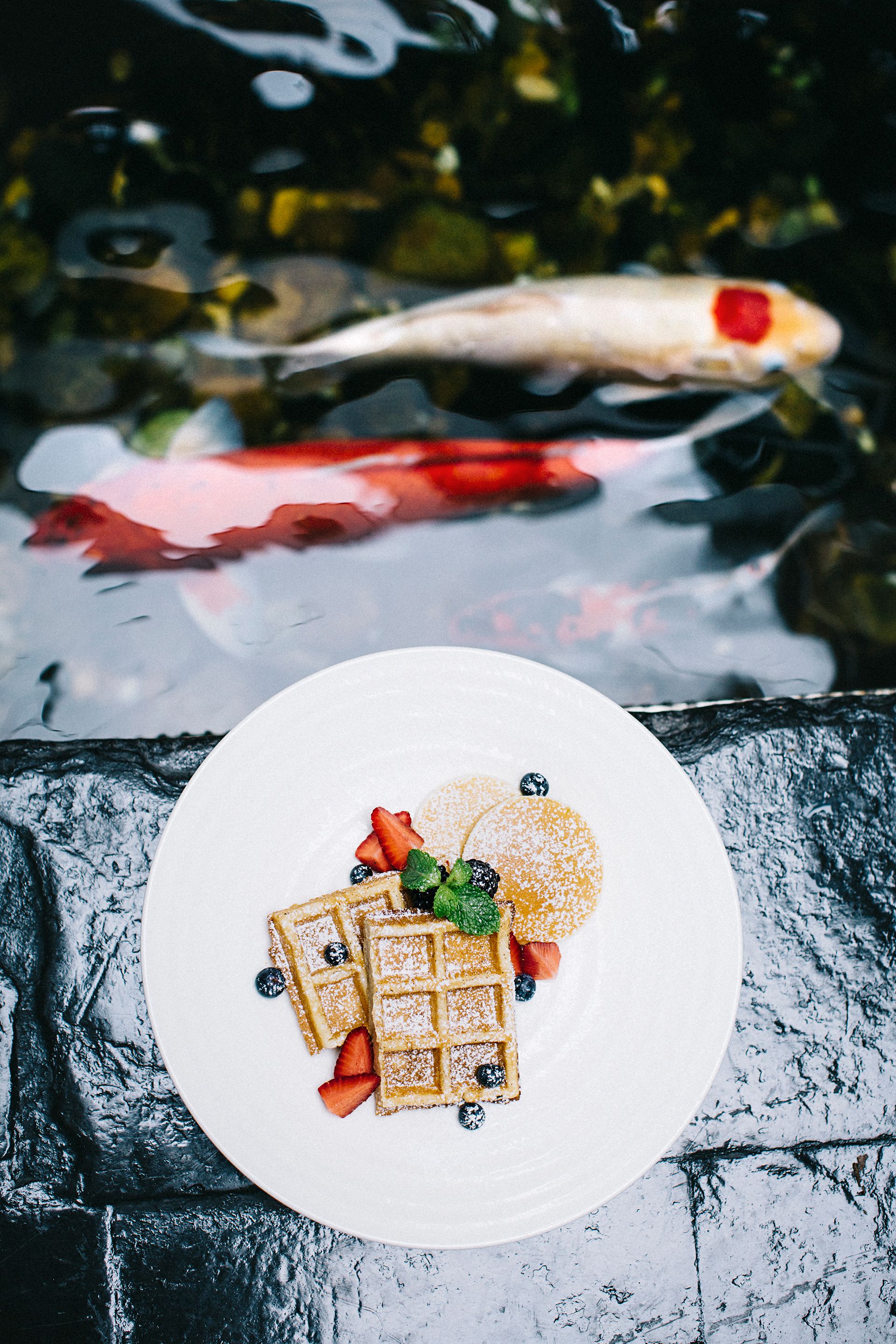 Une assiette de gaufres garnies de fraises et de myrtilles, posée sur une surface en pierre, près d’une étendue d’eau où l’on peut voir des poissons.