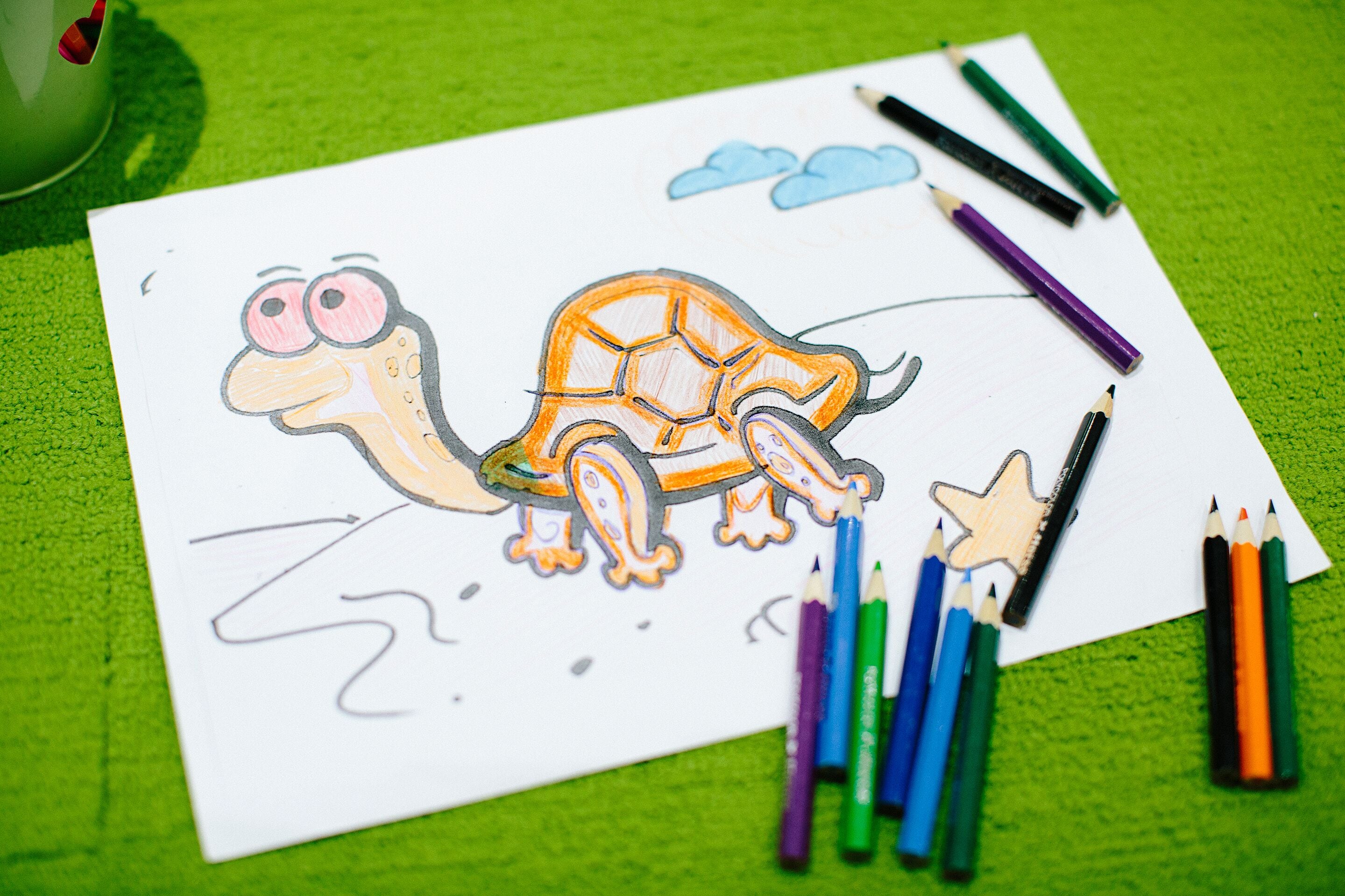 Un dibujo de una tortuga caricaturesca sobre una hoja de papel blanca, con lápices de colores a su alrededor.