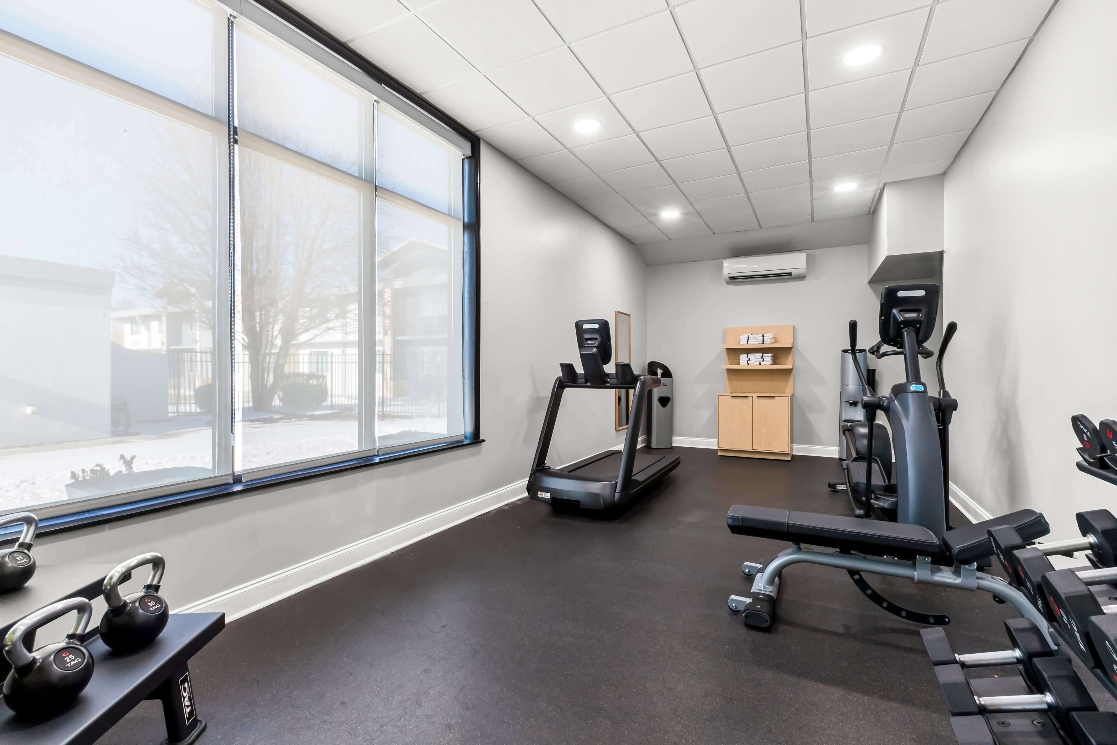 A gym with a treadmill, weight bench, dumbbells, and exercise machines.