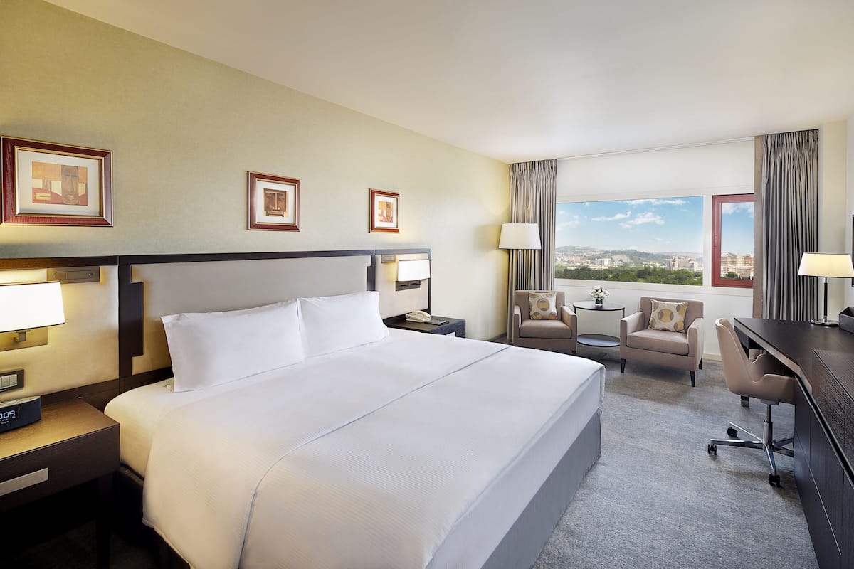 A hotel room with a large bed, a desk, a chair, a TV, and a view of the city.