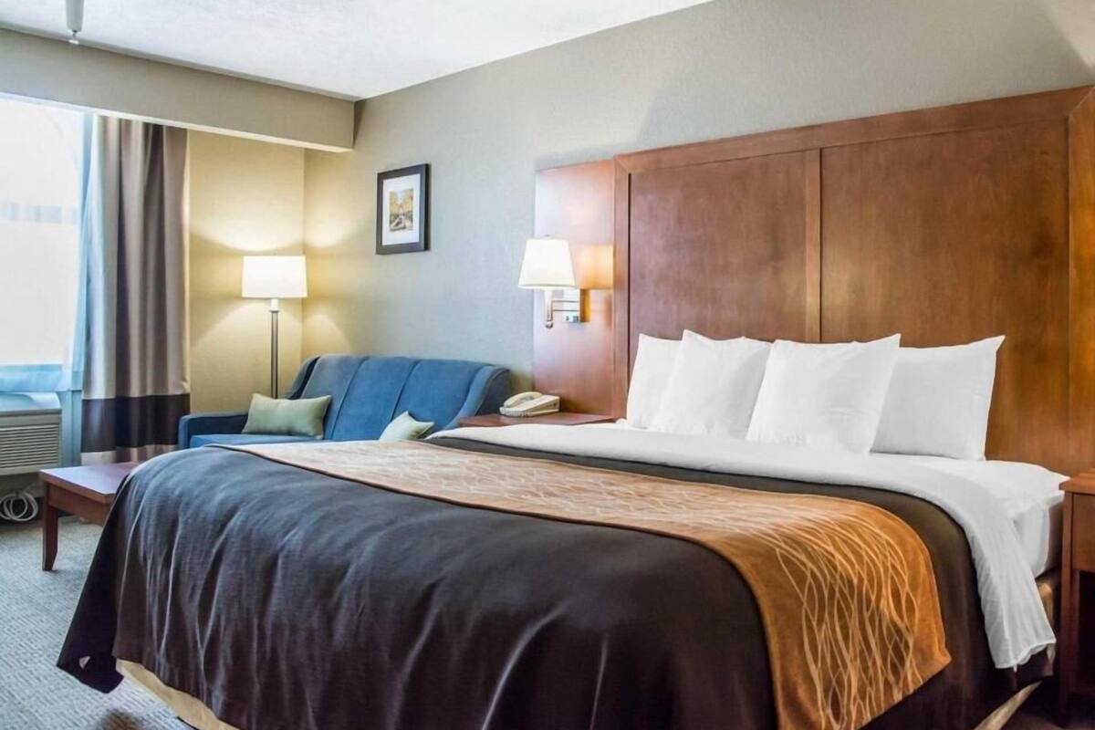 Premium bedding, down duvets, Select Comfort beds, desk