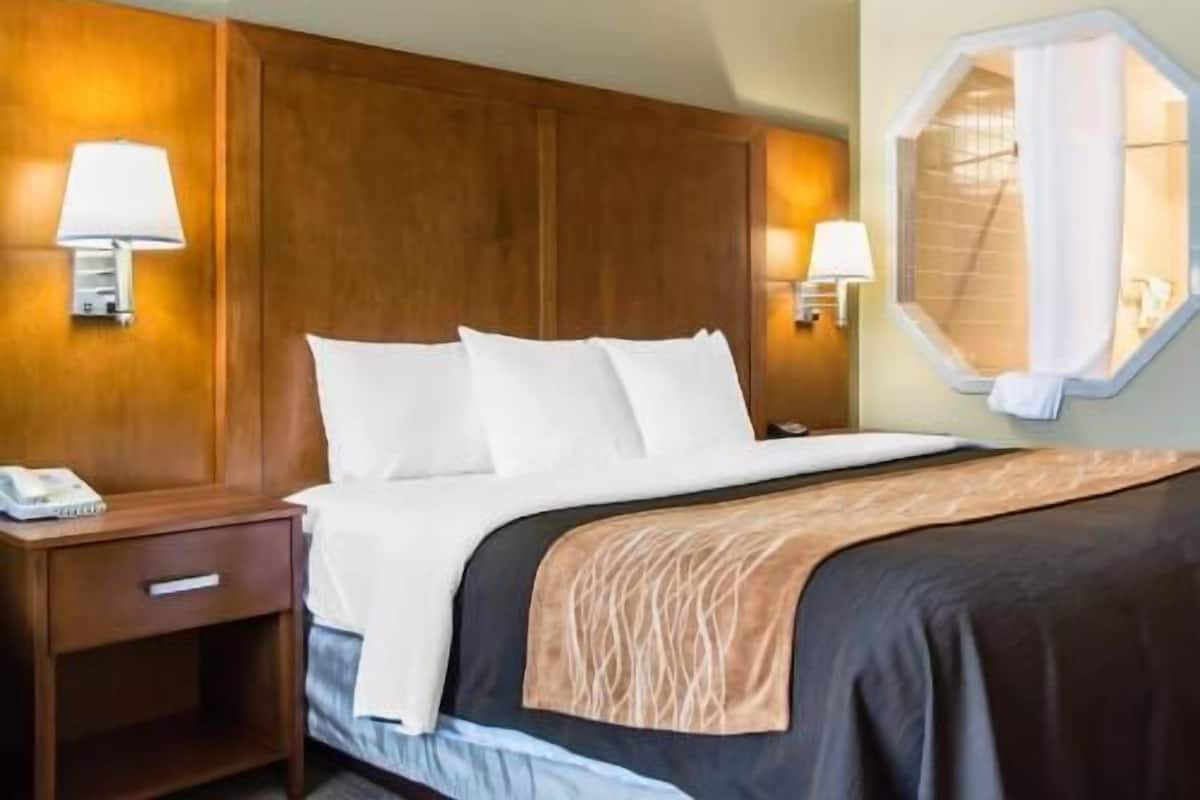 Premium bedding, down duvets, Select Comfort beds, desk