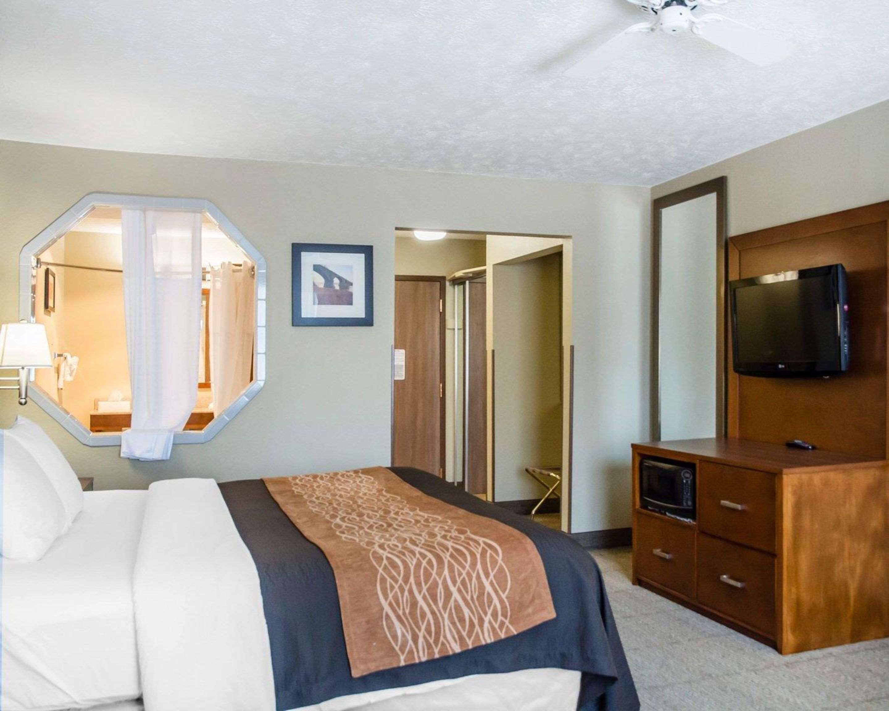 A hotel room with a bed, a television, a dresser, and a mirror.