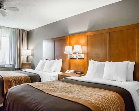 Premium bedding, down comforters, Select Comfort beds, desk