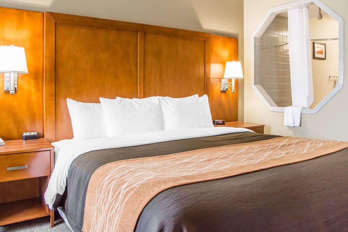 Chambre Standard, 1 trÚs grand lit, non-fumeurs | Literie de qualité supérieure, couette en duvet d'oie