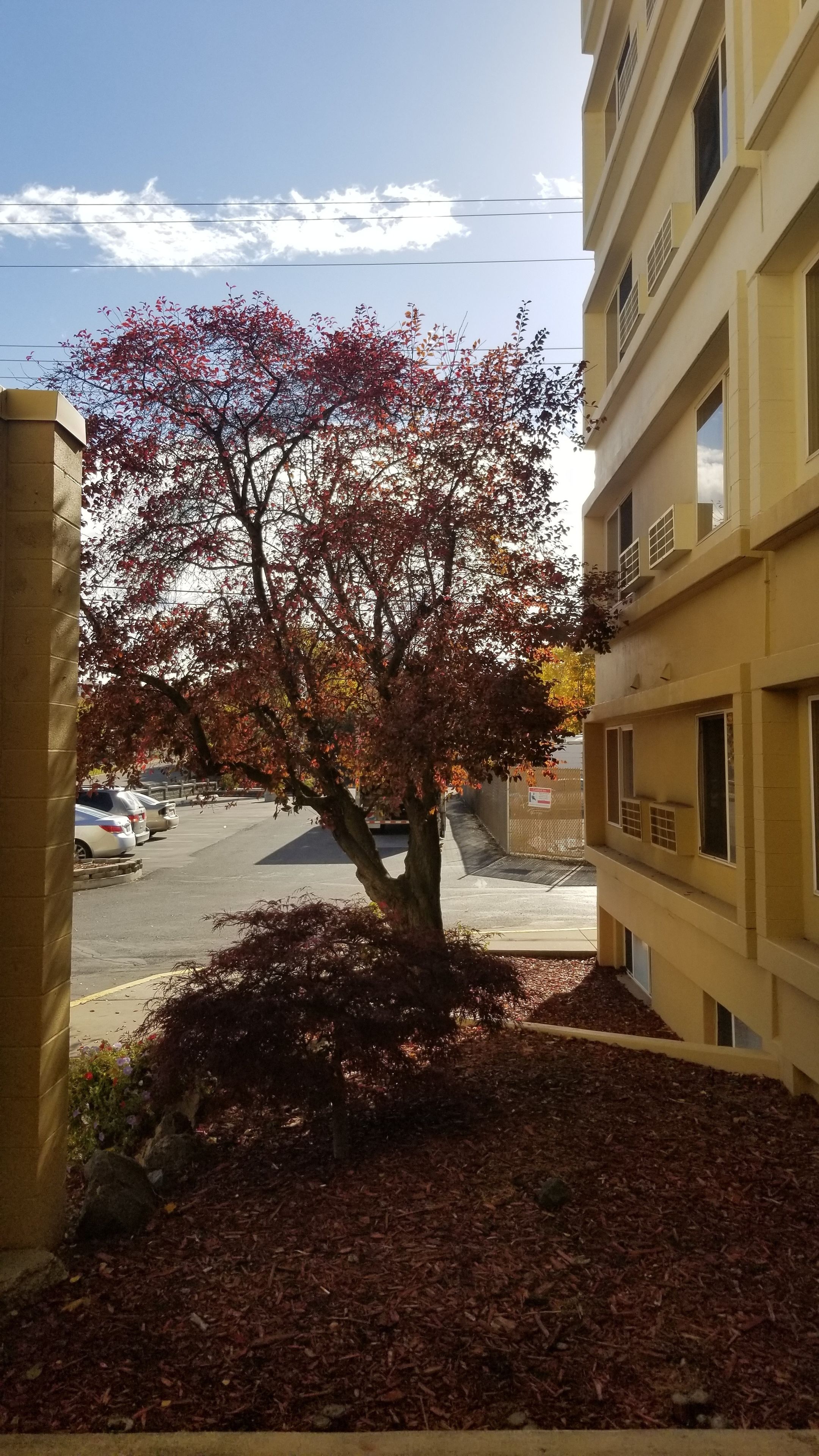 Foto - Ramada by Wyndham Downtown Spokane