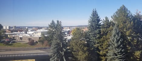 A cityscape with a bridge, buildings, and dense trees.