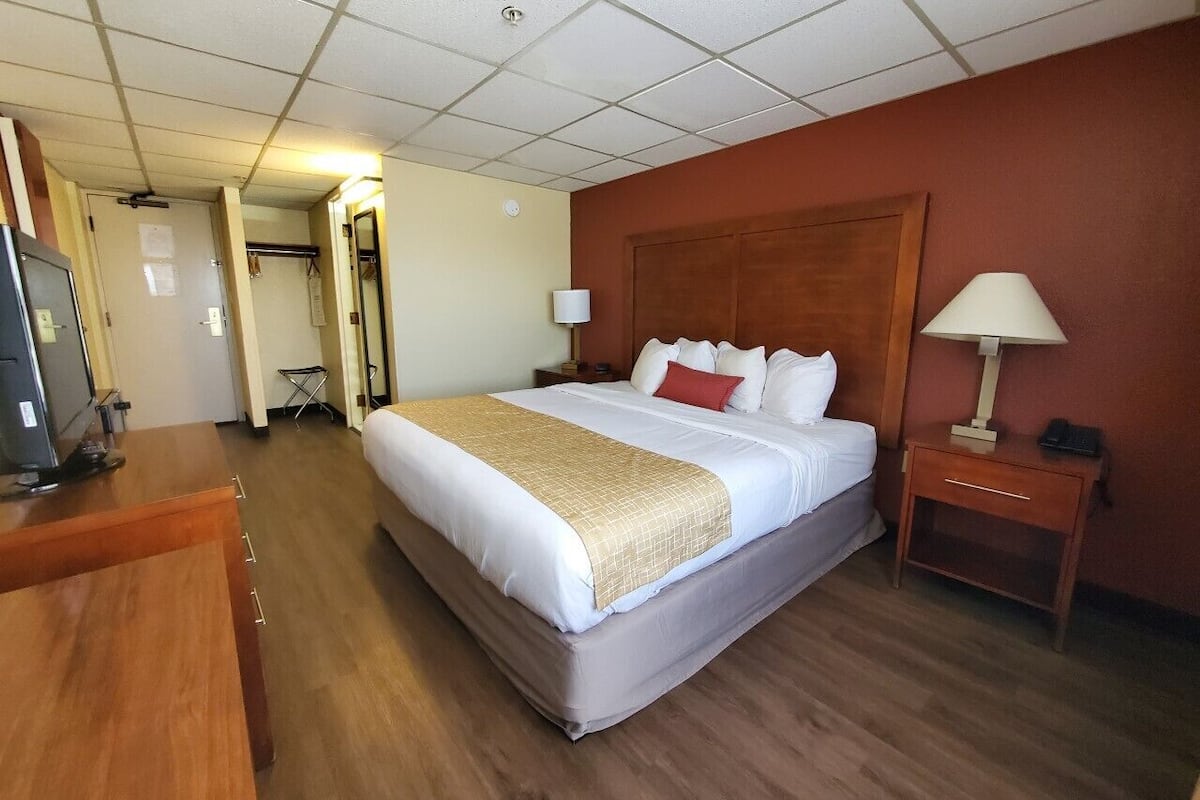 Room, 1 King Bed, Non Smoking | Desk, blackout drapes, iron/ironing board, free cribs/infant beds