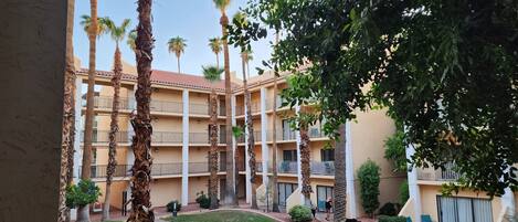A multi-story building with balconies, palm trees, and a courtyard.