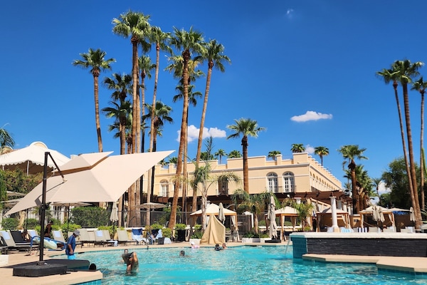 Outdoor pool, sun loungers