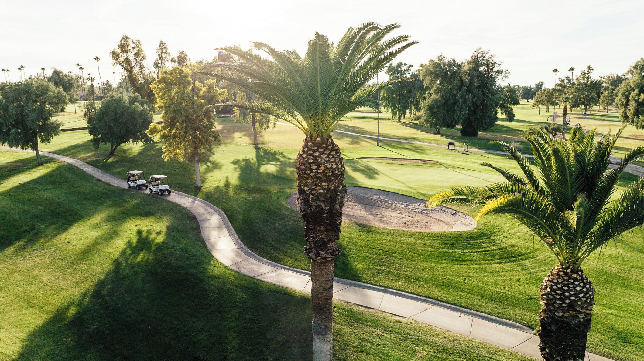 A golf course with a clear path, palm trees, and golf carts.