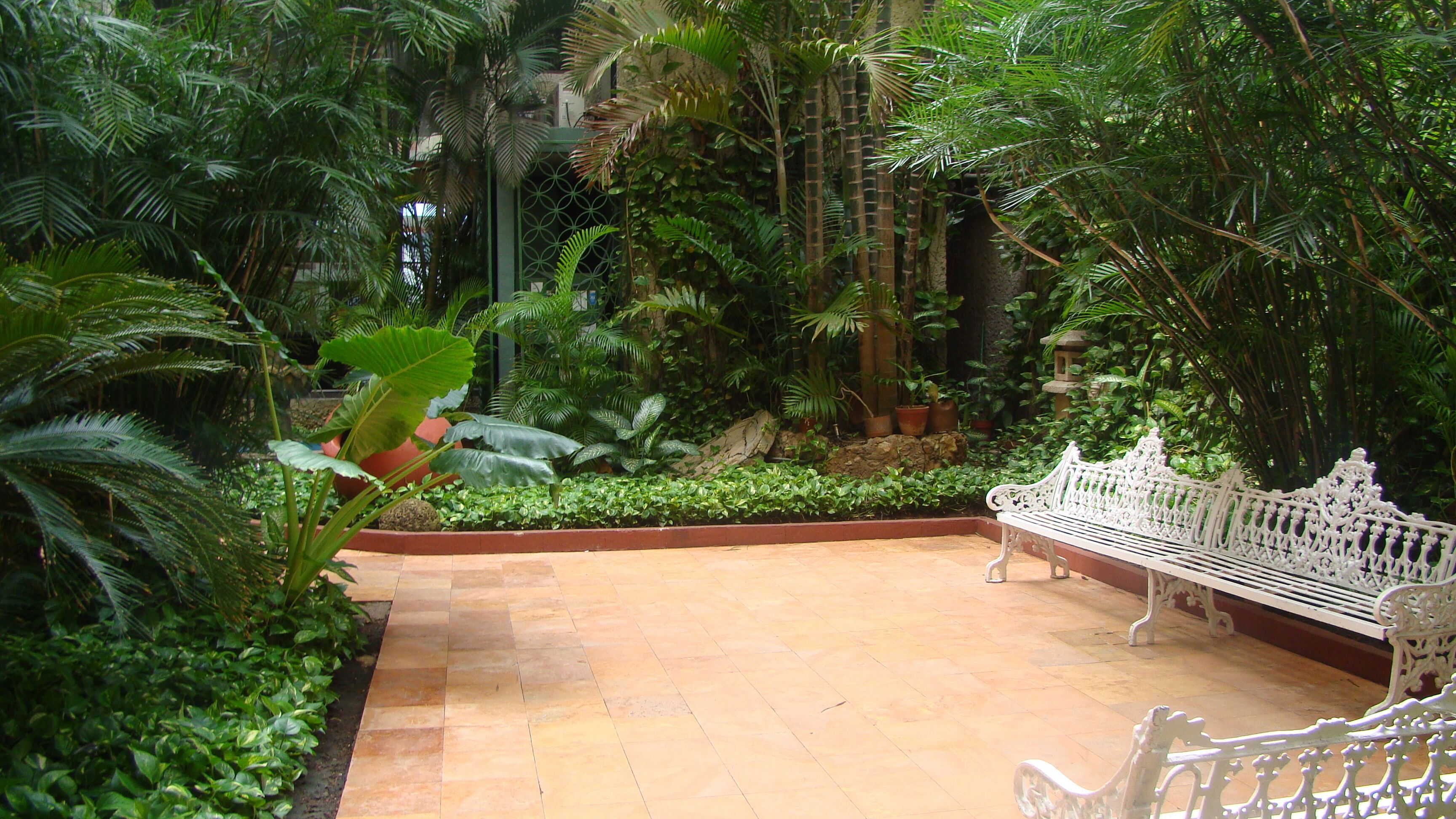 A garden patio with a white ornate bench, surrounded by lush tropical plants and a stone-tiled floor.