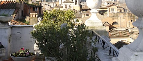 Terraço no telhado com plantas em vasos, balaustrada de pedra e vista de edifícios históricos, incluindo estruturas com cúpulas.