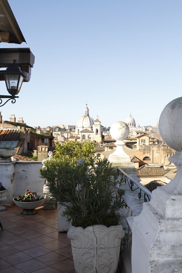 Terraza en la azotea con plantas en macetas, barandilla de piedra y vistas a edificios históricos, incluyendo estructuras con cúpulas.