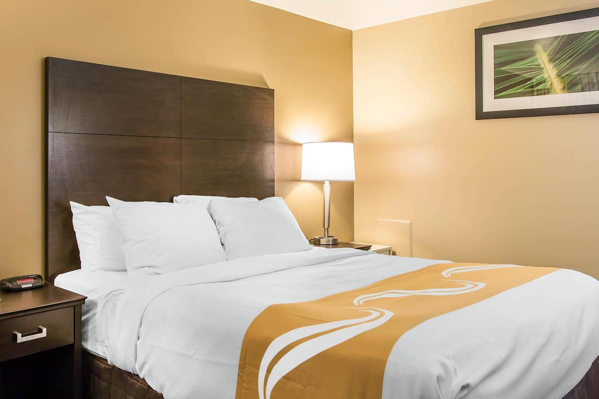 Room, 1 Queen Bed, Accessible, Non Smoking | In-room safe, desk, iron/ironing board, cribs (free)