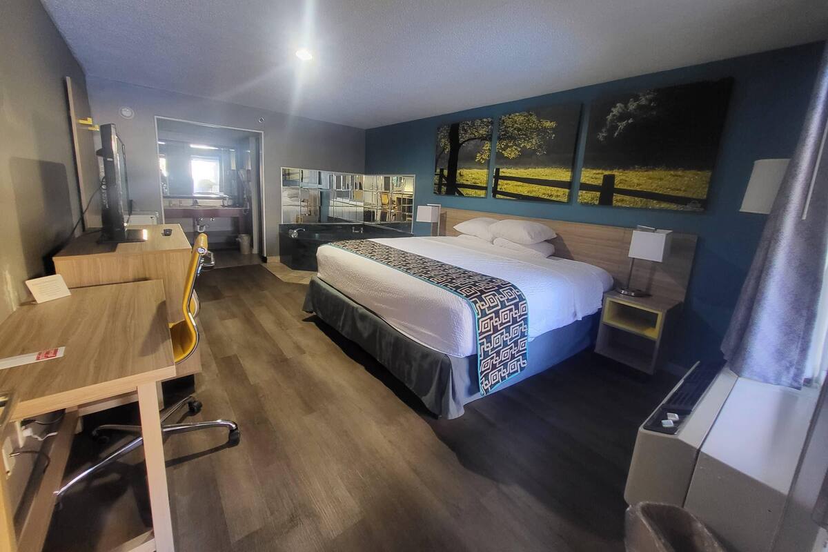 A hotel room with a bed, a desk, a chair, a TV, a mirror, and a window with a view of trees.